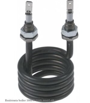 Rezistenta boiler 1000W 220V